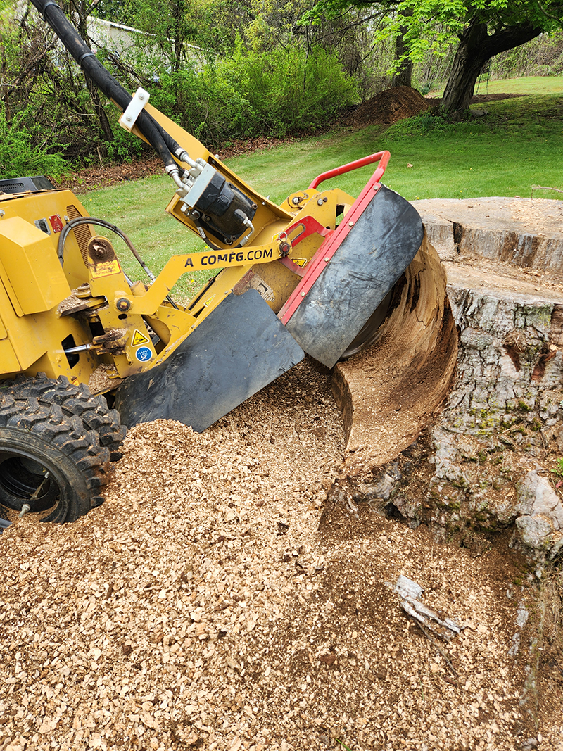 stump grinding